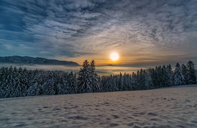 Wohnung Sonnenaufgang - Ihre gemütliche Ferienwohnung in Weyregg am Attersee