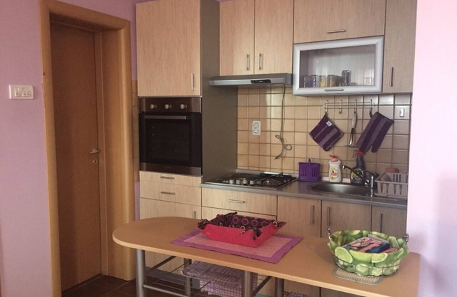 Apartment SAMS LUX with the best view on mountain Kopaonik !