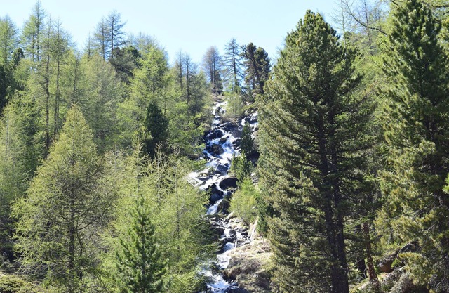 Ferienwohnung Schnalstal mit Luxusblick auf das Martelltal Südtirol