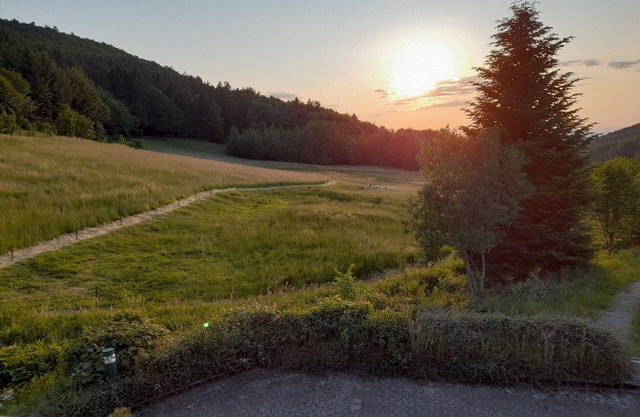 Ferienwohnung 'Schwarzwald Pur' mit Bergblick, Gemeinschaftsterrasse und Wi-Fi