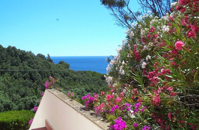 Apartment surrounded by tranquility with beautiful sea view