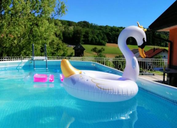 Apartment Tina with Seasonal Pool