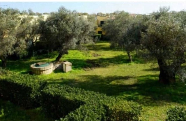 Ferienwohnung 'Tra Ulivi E Mare' mit Privatterrasse, WLAN und Klimaanlage
