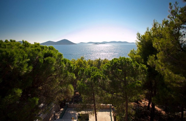Apartment Vrgada direkt am Meer