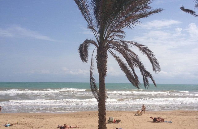 Neue Wohnung in Almoradi, Spanien mit Balkon, Pool, Whirlpool, BBQ auf Dachterrasse