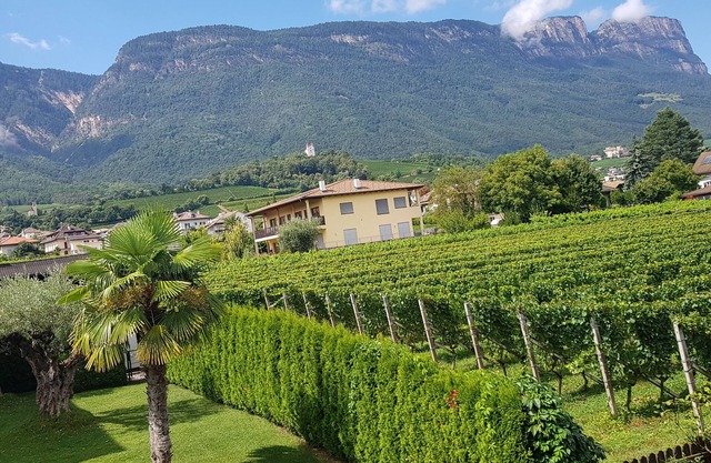 Ferienwohnung "Weinduft" herrliche Aussicht Berge Südtirol