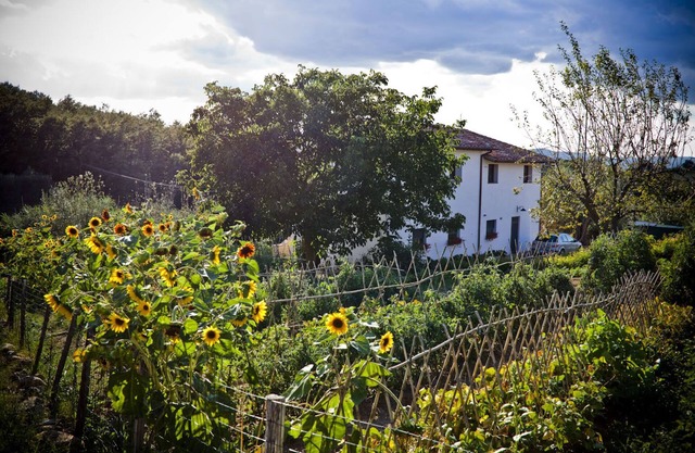 Entzückendes Bauernhaus auf einem Biohof im Herzen von Italien