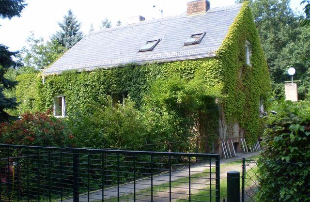 Apartment 'Wolf' mit privater Terrasse, Gemeinschaftsgarten und WLAN