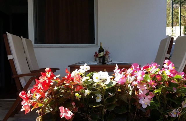 Ferienwohnungen Jurica (51011-A1) - Drace