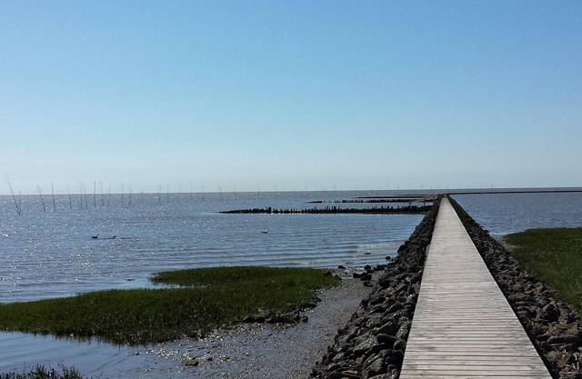 Ferienwohnungen an der Nordsee - 4 Personen, WLAN inkl., Terrasse und Garten