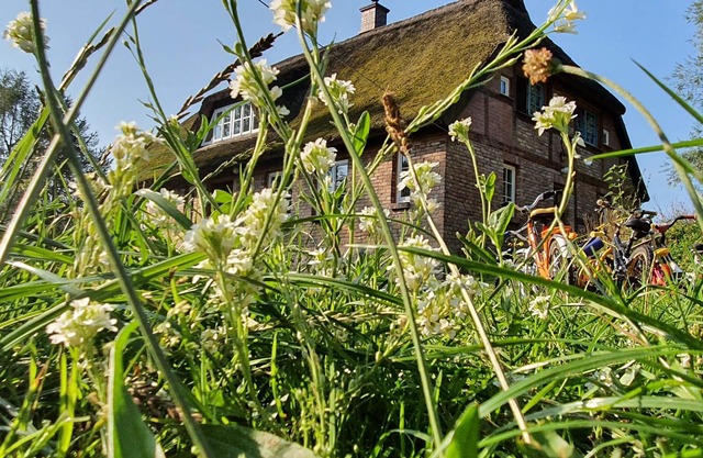Apartment Freterg Holt mit Kamin (40m²), Nähe Binz in traumhafter Alleinlage