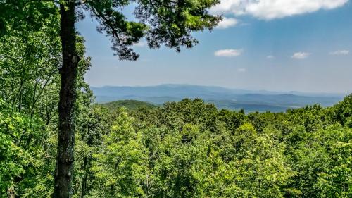 Appalachian Sky - Scenic Mountain View Cabin in Big Canoe