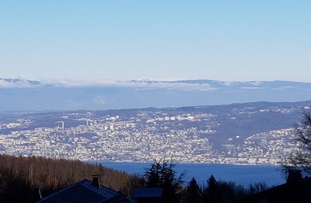 Appart 4 pers - Bahnhof - Thollon les memises - Evian