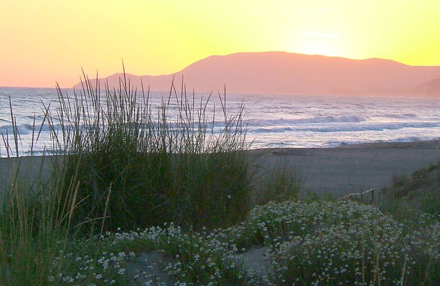 Appartamento Malibu