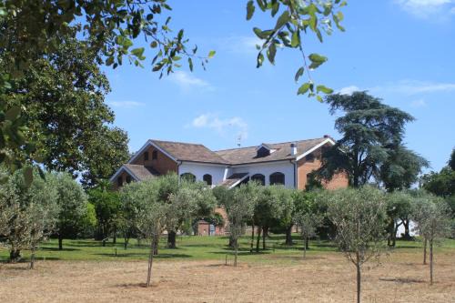 Appartamenti La Cicadea