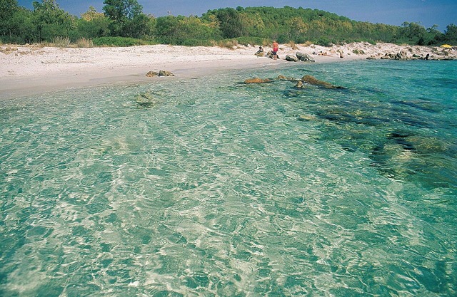 Appartamenti Le Canne 2 vicini al mare