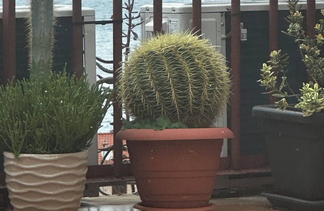 Appartamenti Scilla paese albergo