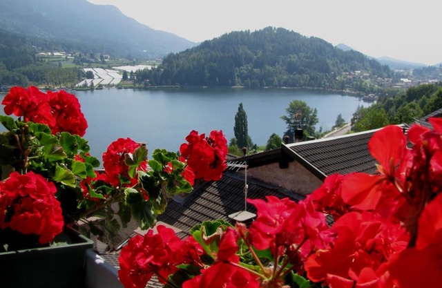 appartamento Dossalt vista lago Serraia a 20 minuti da Trento, WI-FI e parcheggio gratuiti