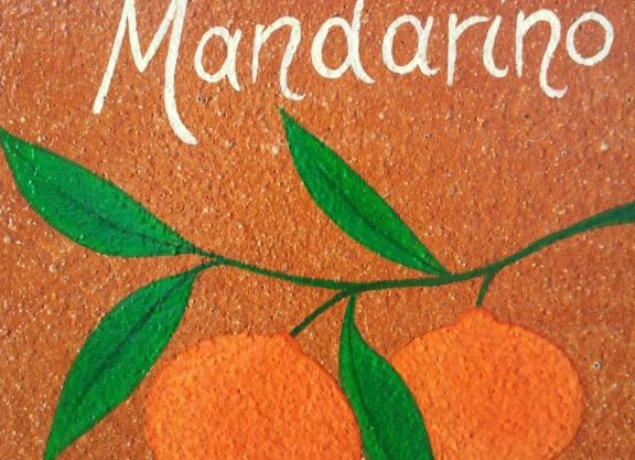 Appartamento Il Mandarino