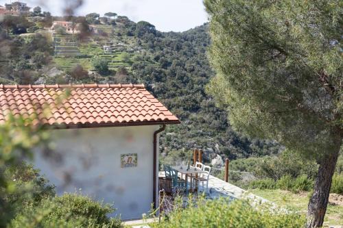 Appartamento il Nespolo - Helloelba