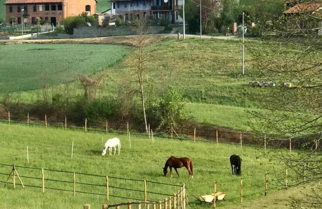Appartamento in cascina -la cascinetta di Ali-