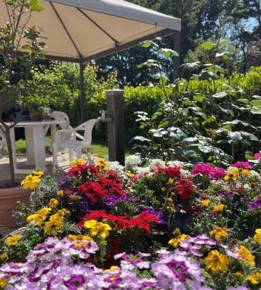 Appartamento in Villa a Triuggio - Monza Brianza