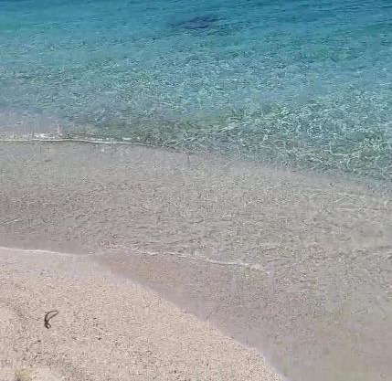Appartamento platamona