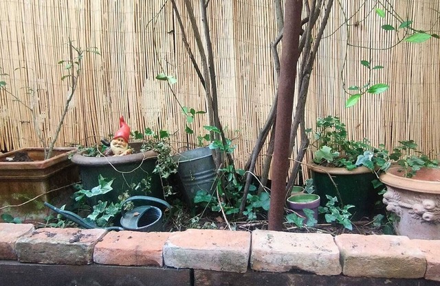 Appartement Ancien Avec Jardin au Calme. Charme Xxl... Animaux, C'est oui !