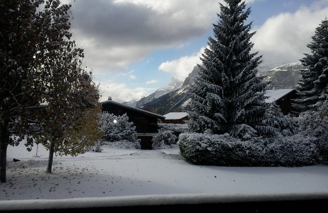 Fewo 2-6p Winterski in Les Carroz Flaine Morillon Samoens + wandern im Sommer