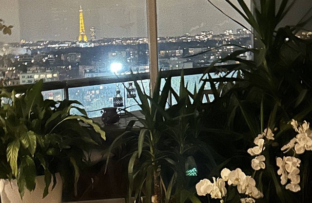 APT WITH AIR CONDITIONING, TERRACE PANORAMIC VIEW OVER PARIS AT RIVER SEINE SIDE