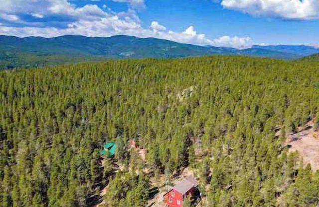 Arapaho Forest Lodge | Hot Tub, Game Room, Hiking