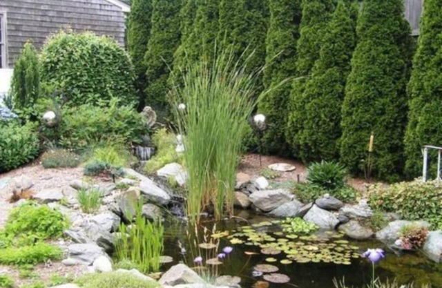 Armistead Cottage B&B