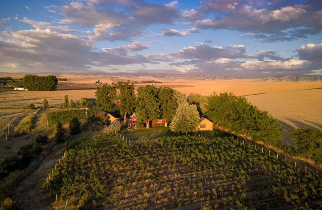 Armstrong Vineyard Cottage