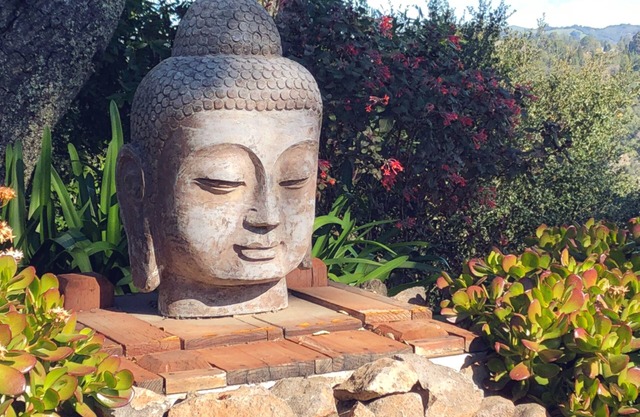 Kunstgefüllter ORINDA ZEN Retreat. ATEMBERAUBENDE AUSSICHTEN! Minuten zu BART, SAN FRANCISC