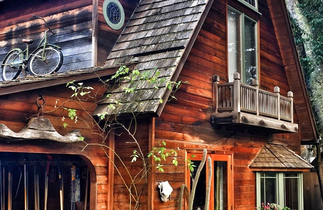 Artist's Treehouse Studio-Apartment