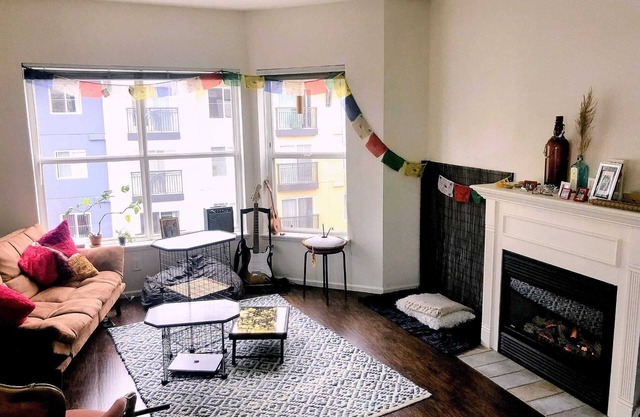 Artsy & Cosy Apartment in Seattle. Next to Seattle Needle and Sculpture Park!