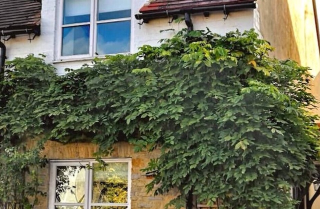 Ashwin Court Cottages Clara Cottage - Sleeps 4