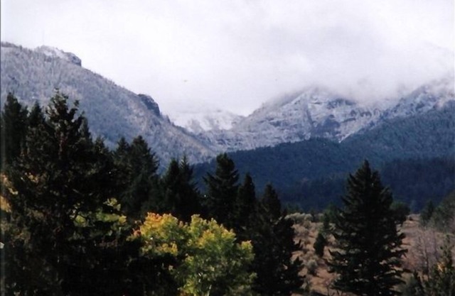Aspen Cabin in der Nähe von Yellowstone - Ausritte, Seilrutschen, Rafting, Wandern