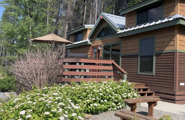 Aspen Cabin