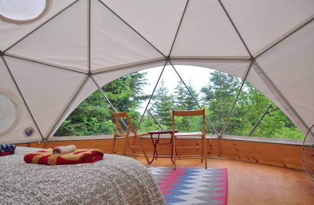 Atlantische Haube bei Cabot Shores Wilderness Resort