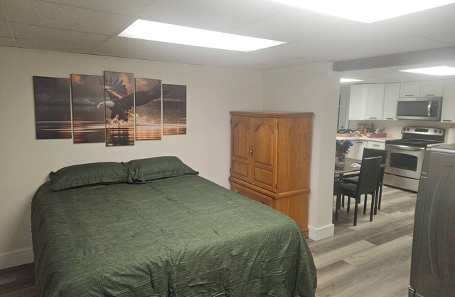 Attractive Lower Level Guest Suite with Private Entrance