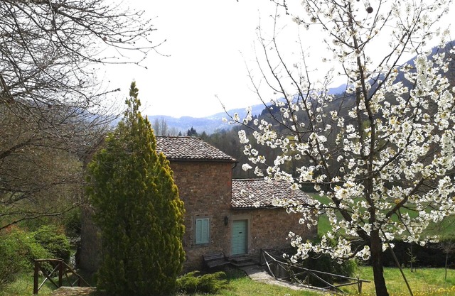 Renoviertes Steinmühlenhaus, privater Pool
