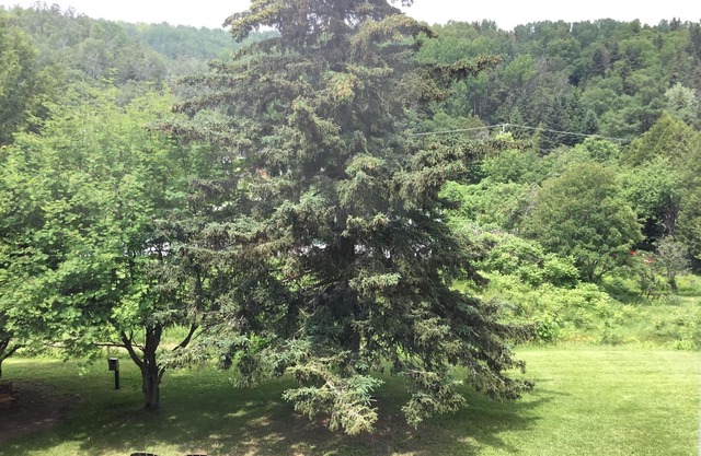 Auberge Beauséjour