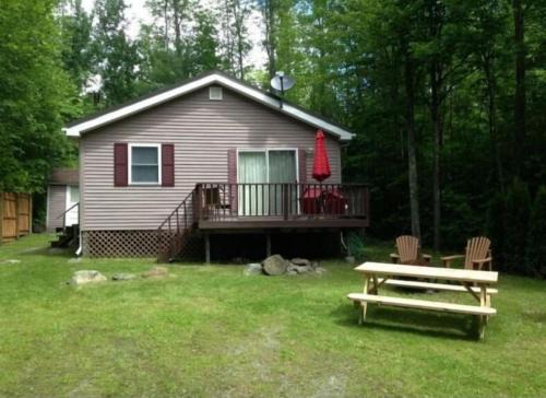 Augur Lake Cabin Escape