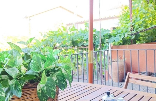 Aunt Pina's Palmento. Quiet house with garden at the foot of Mount Etna.
