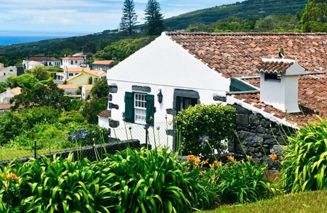 Auntie's House