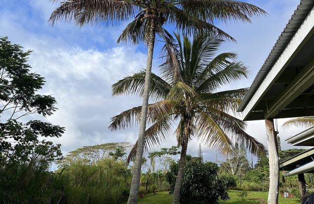 Authentic Big island farm house in Peles backyard;)