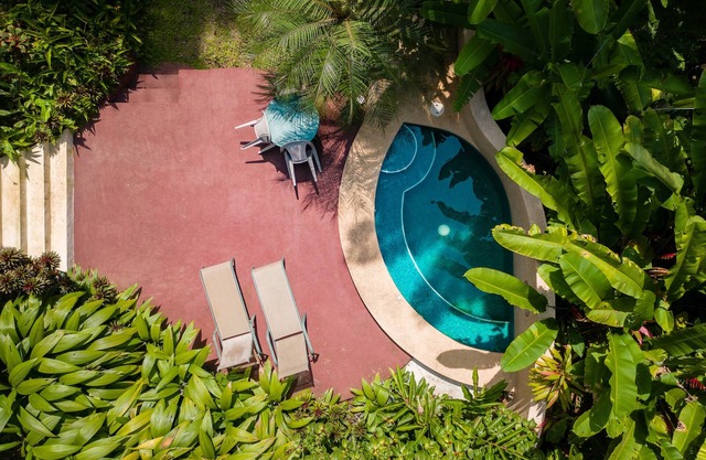 Geckoes Lodge: Rainforest Barefoot Luxury & Plunge Pool in der Nähe von wunderschönen Stränden