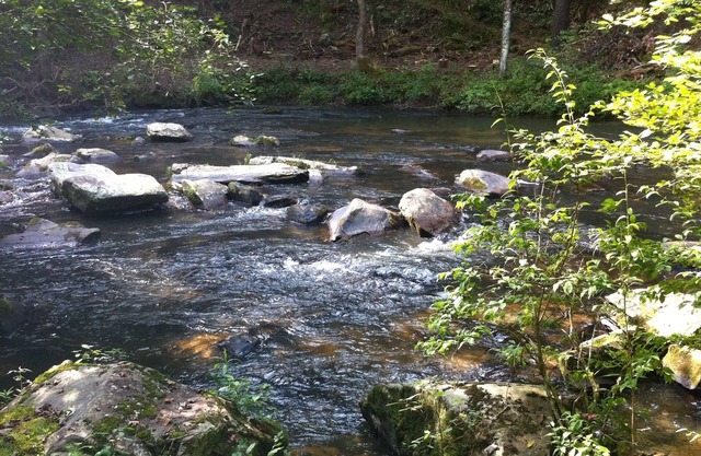 Fish Creel Lodge - N GA Berge - Trophäenforellenbach - Ellijay - 3 Morgen