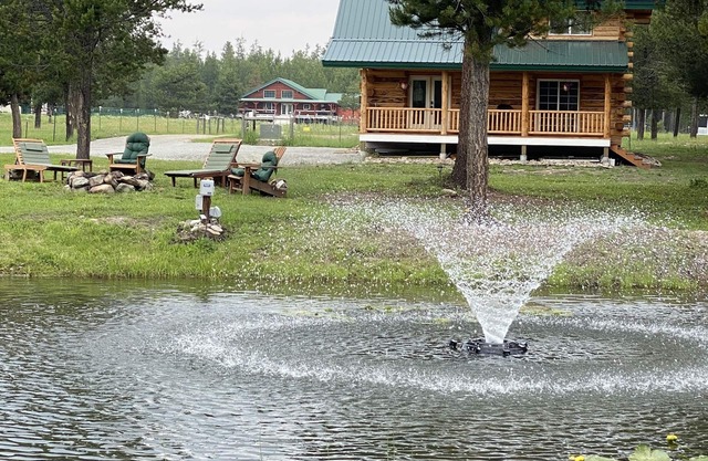 Authentic Montana wilderness log cabin (pet friendly)